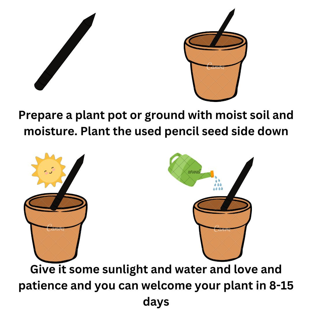 Newspaper Seed Pencil (Pack of 10)