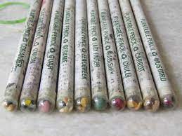 Eco Friendly Newspaper Seed Pencil