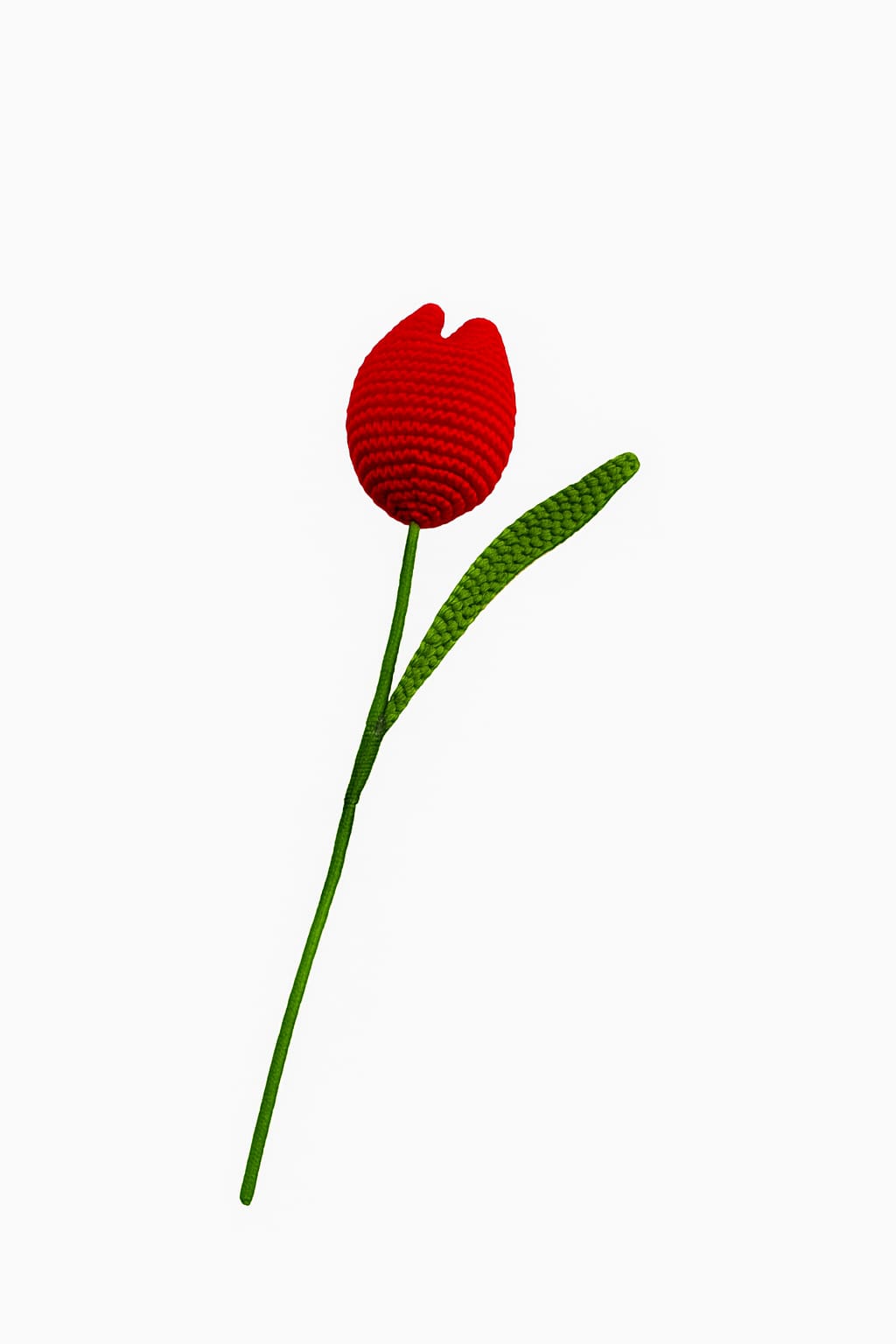 Crochet Tulip Flowers