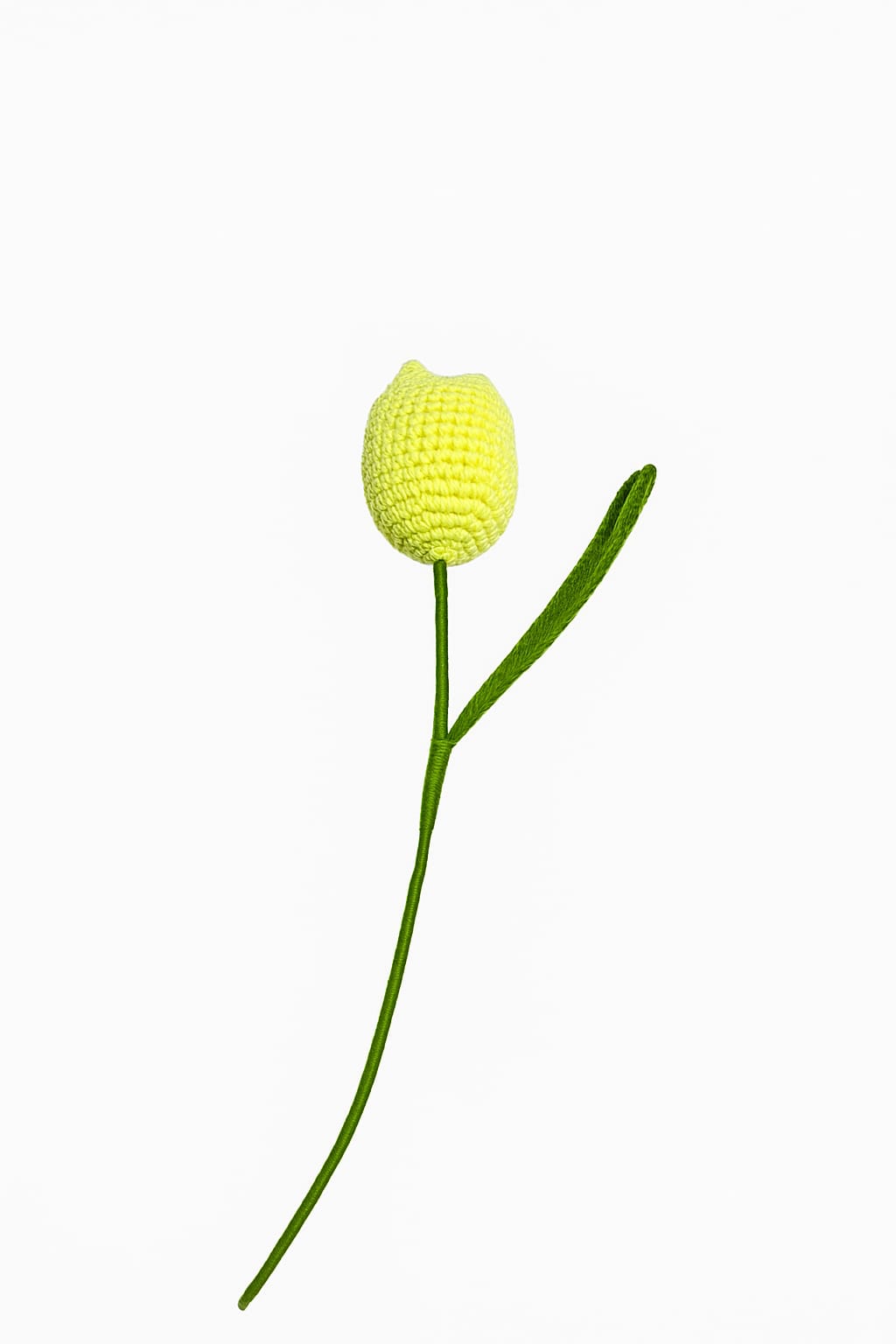 Crochet Tulip Flowers